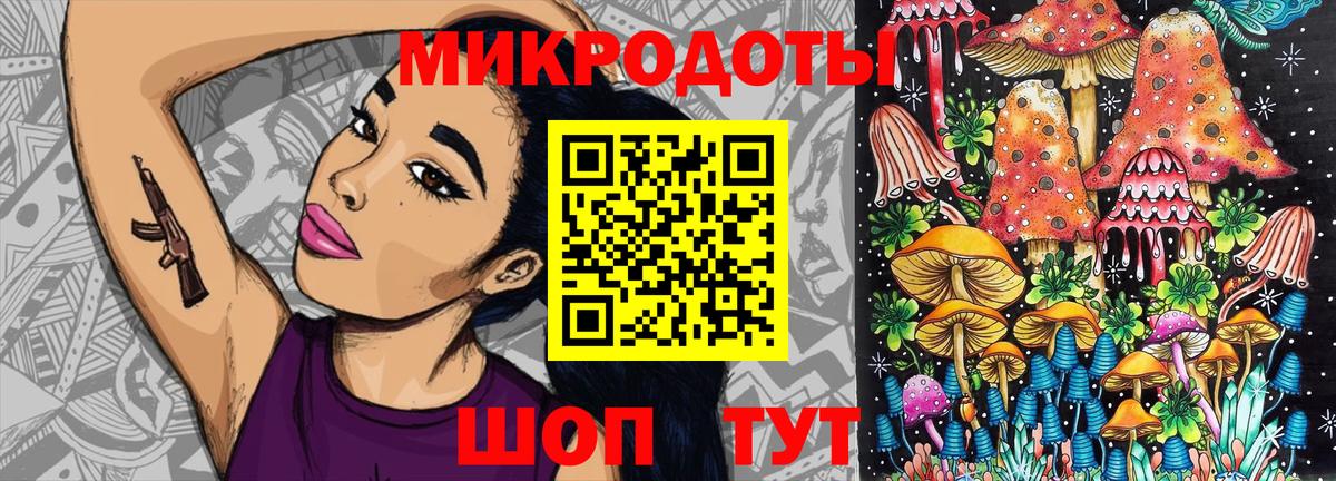 Псилоцибиновые грибы Psilocybine cubensis Ессентуки